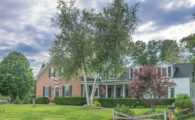 Indian-Origin Family's Tree Chopped In Half By 'Pettiest Neighbours Ever'