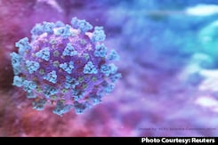 New Covid Strain Detected By Pune Virologists, Not Found In Indian Cases New Covid Strain Detected By Pune Virologists, Not Found In Indian Cases