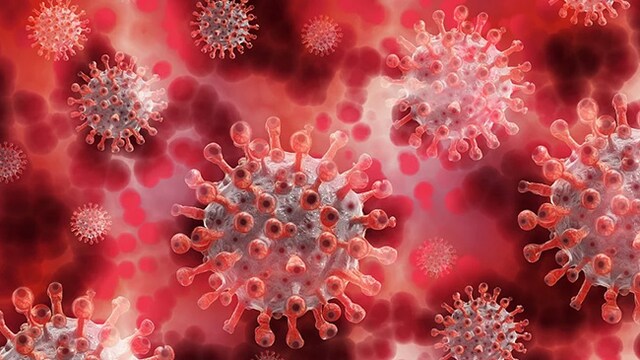 XE Variant: symptoms so far have been mild and hence do not seem worrisome