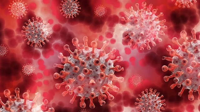 XE Variant: symptoms so far have been mild and hence do not seem worrisome