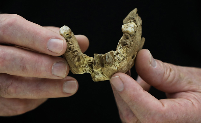 "Nesher Ramla Homo": New Type Of Early Human Found In Israel