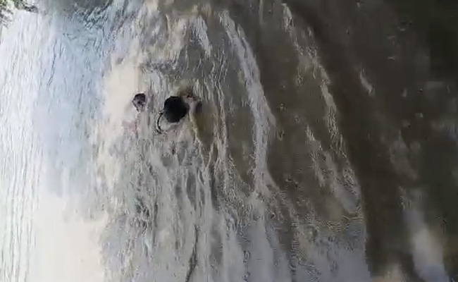Video: UP Cop Sees Man Drowning, Jumps Into Canal, Pulls Him To Safety