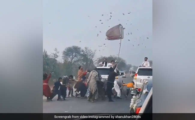 बाराती कार पर चढ़कर लुटा रहे थे पैसे, तो सड़क पर घूम रहे लोगों ने किया गजब जुगाड़, ऐसे लूटे हवा में उड़ रहे नोट - देखें Video