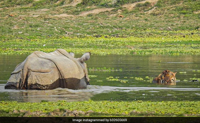 Kaziranga National Park To Get First Woman Field Director