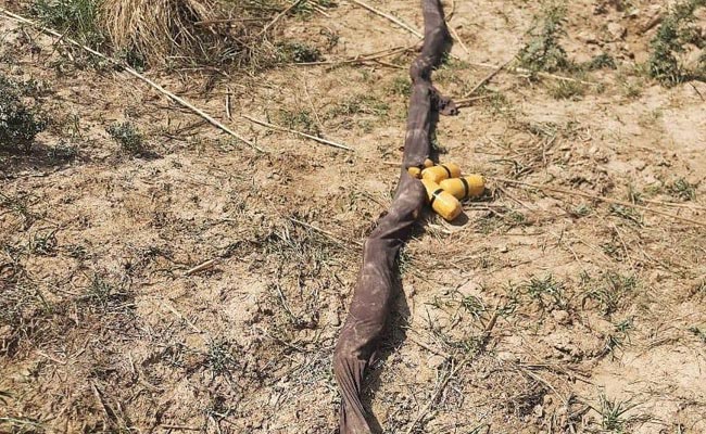 Narcotics Smuggler Shot Dead By Border Security Force Along International Border In J&K