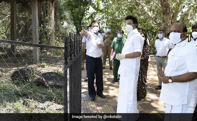 Covid-Infected Asiatic Lions In Chennai On Antibiotics, MK Stalin Visits Zoo