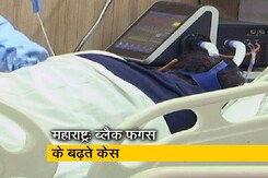 महाराष्ट्र में अब तक ब्लैक फंगस के 7998 केस, 729 मरीज़ों की मौत महाराष्ट्र में अब तक ब्लैक फंगस के 7998 केस, 729 मरीज़ों की मौत