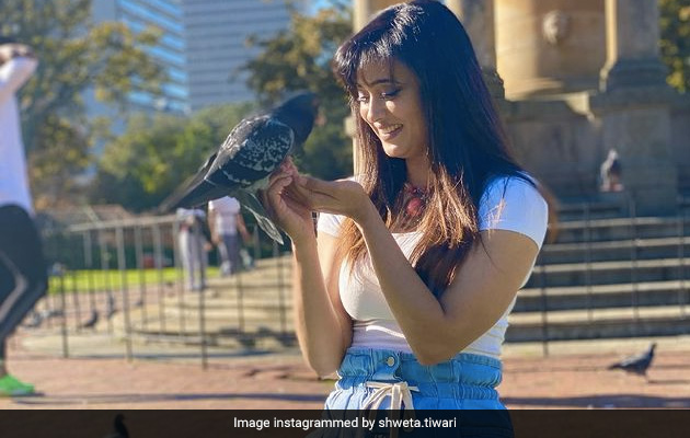 श्वेता तिवारी कबूतरों के साथ खेलती आईं नजर, बोलीं- प्यार ऐसी भाषा है...