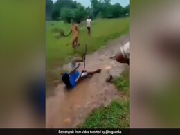 गीले मैदान में क्रिकेट खेल रहे थे लड़के, तभी हुआ कुछ ऐसा, हर्ष गोयनका बोले- India vs New Zealand मैच - देखें Video गीले मैदान में क्रिकेट खेल रहे थे लड़के, तभी हुआ कुछ ऐसा, हर्ष गोयनका बोले- India vs New Zealand मैच - देखें Video