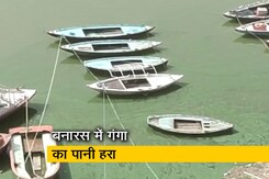 गंगा में शैवाल की NDTV की खबर के बाद प्रशासन ने शुरू की जांच गंगा में शैवाल की NDTV की खबर के बाद प्रशासन ने शुरू की जांच