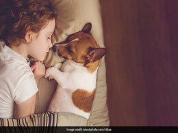 Children Sleeping With Their Pets? They Might Be Getting The Best Sleep Among Us All Children Sleeping With Their Pets? They Might Be Getting The Best Sleep Among Us All