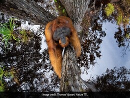 Kerala Man's 'The World is Going Upside Down' Photo Wins Top Prize Kerala Man's 'The World is Going Upside Down' Photo Wins Top Prize