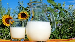 World Milk Day 2023: Date, Theme And 5 Delicious Milkshake Recipes