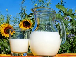 World Milk Day 2023: Date, Theme And 5 Delicious Milkshake Recipes