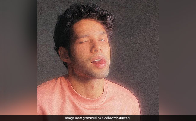 The Pic Siddhant Chaturvedi Would Send For <I>High School Musical</i> Audition. Sorry, Zac Efron