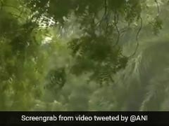 Watch: Dust Storm, Strong Winds Hit Delhi