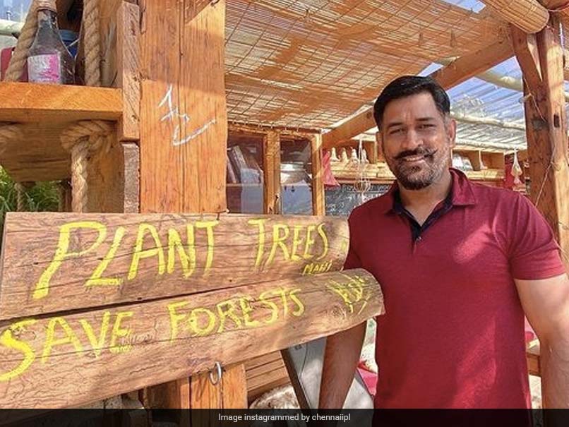 "Planting The Right Thoughts!": MS Dhoni Asks Fans To Plant Trees, Save Forests