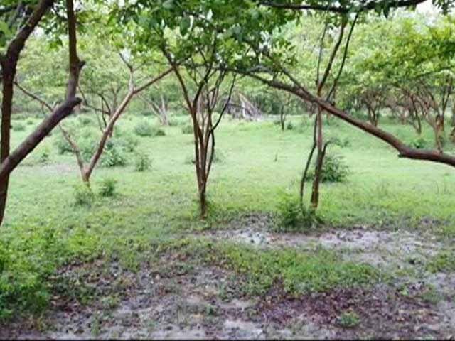 Ground Report: How A Piece Of Land Went From 2 Crores To 18 Crores In Ayodhya