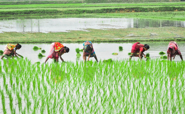 World Food Safety Day 2021: Theme And All You Need To Know