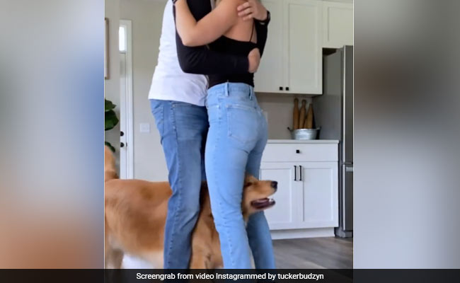 मम्मी-पापा ने एक-दूसरे को किया Hug, तो कुत्ते को हुई जलन, करने लगा ऐसी हरकत, 24 लाख बार देखा गया Video