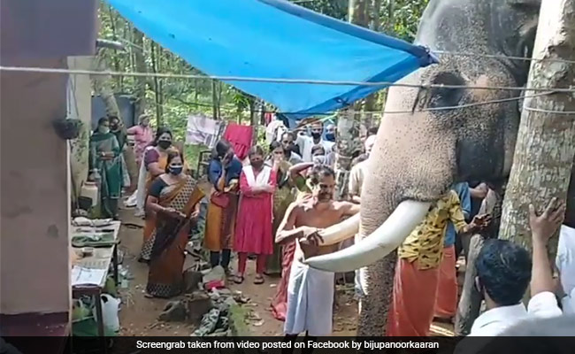 Watch: Video Of Elephant Paying Last Respects To Mahout Moves The Internet