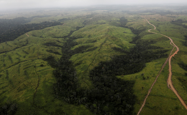 Brazil's Amazon Rainforest Lost Area The Size Of Spain In 40 Years: Study