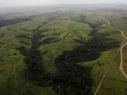 Brazil&#039;s Amazon Rainforest Lost Area The Size Of Spain In 40 Years: Study