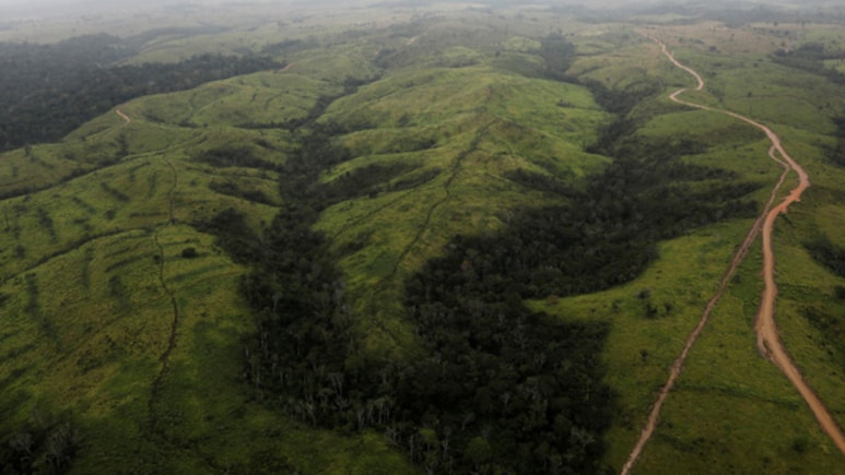 Brazil's Amazon Rainforest Lost Area The Size Of Spain In 40 Years: Study