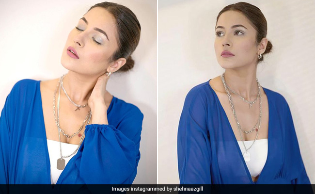 Shehnaaz Gill Has Left Us Beyond Electrified In A Gorgeous Blue Dress