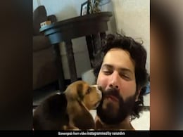 Varun Dhawan Is Struggling With "Fatherhood." Please Help Him Name His Fur Baby Varun Dhawan Is Struggling With "Fatherhood." Please Help Him Name His Fur Baby