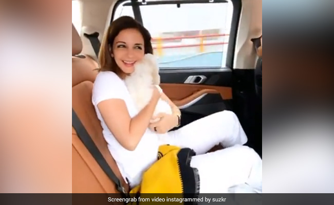 Sussanne Khan Welcomes An Adorable Furball To Her Family. See Pic Here