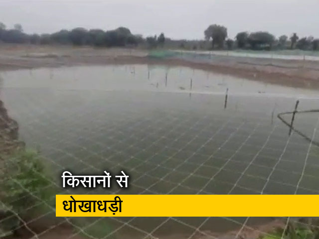 मध्य प्रदेश में मछली पालन से दोगुनी कमाई का झांसा