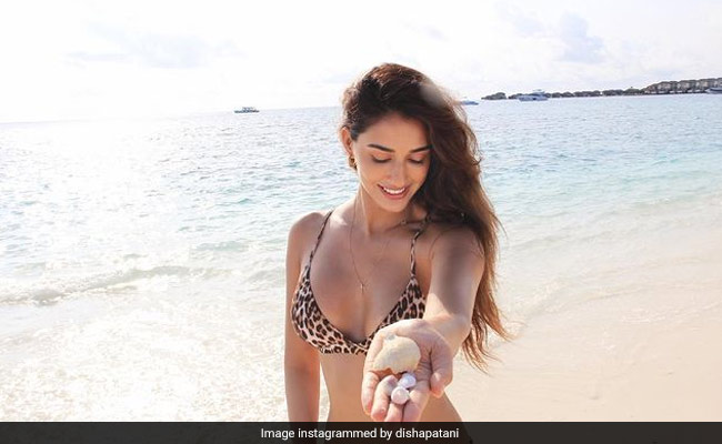 In Her Sunkissed Glow, Disha Patani Looks Gorgeous As Ever In A Leopard Print Bikini