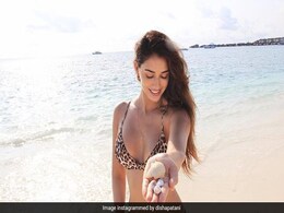 In Her Sunkissed Glow, Disha Patani Looks Gorgeous As Ever In A Leopard Print Bikini In Her Sunkissed Glow, Disha Patani Looks Gorgeous As Ever In A Leopard Print Bikini