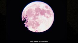 Strawberry Moon 2025: When And Where To Watch This Rare Full Moon In India