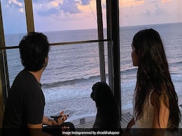 Shraddha Kapoor Is Chilling With Brother Siddhanth And Their Adorable Pet In Latest Post. Courtesy, Mom Shivangi Kolhapure Shraddha Kapoor Is Chilling With Brother Siddhanth And Their Adorable Pet In Latest Post. Courtesy, Mom Shivangi Kolhapure