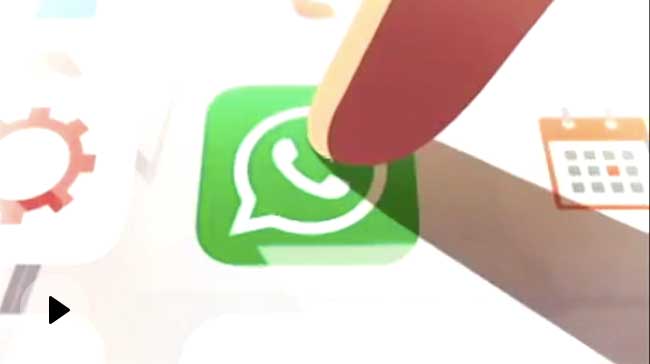 WhatsApp to Delhi High Court: Updated Privacy Policy on Hold &mdash; Everything You Need to Know