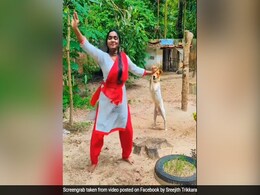महिला कर रही थी डांस, तभी पास खड़ा कुत्ता भी करने लगा उसकी नकल, Video ने जीता लोगों का दिल महिला कर रही थी डांस, तभी पास खड़ा कुत्ता भी करने लगा उसकी नकल, Video ने जीता लोगों का दिल