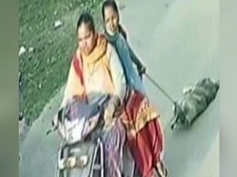 पंजाब: महिलाओं ने पार की क्रूरता की हद, स्कूटी के पीछे कुत्ते को बांधकर सड़कों पर घसीटा, हुई मौत पंजाब: महिलाओं ने पार की क्रूरता की हद, स्कूटी के पीछे कुत्ते को बांधकर सड़कों पर घसीटा, हुई मौत