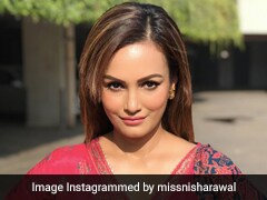 जानें निशा रावल और करण मेहरा के रिश्ते का कड़वा सच