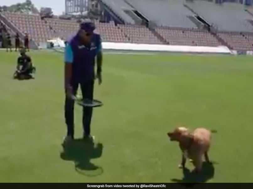 Watch: Ravi Shastri Plays Fetch With Furry Friend Winston After Team India's Practice Session