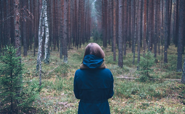 एक राह जो ले जाती है प्रकृति से स्वयं की ओर