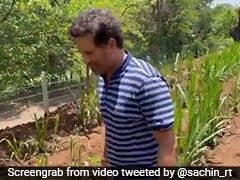 Sachin Tendulkar, IPL Teams Raise Awareness On World Environment Day
