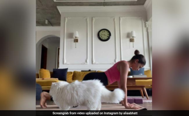International Yoga Day 2021: Alia Bhatt's Smooth As 'Butter' Workout Interrupted By Her Cat