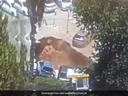 पार्किंग के पास अचानक हुआ विशालकाय गड्ढा, एक-एक करके नीचे गिरने लगी गाड़ियां, CCTV में कैद हुई पूरी घटना पार्किंग के पास अचानक हुआ विशालकाय गड्ढा, एक-एक करके नीचे गिरने लगी गाड़ियां, CCTV में कैद हुई पूरी घटना