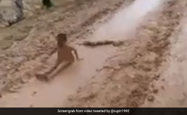 चारों तरफ था घना जंगल, बीच में मिट्टी से लथपथ सड़क, बच्चों ने कीचड़ में खेला ऐसा खेल, VIDEO देख लोगों को आई बचपन की याद