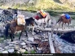 On Foot, Mule, Vehicle: Arunachal's Vaccine Drive 13,000 Feet Near Tibet Border On Foot, Mule, Vehicle: Arunachal's Vaccine Drive 13,000 Feet Near Tibet Border