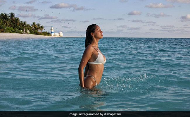 To No One's Surprise, Disha Patani Does Beach Wear Best And Glistens In A Gorgeous White Bikini