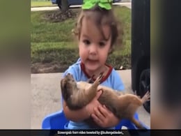 छोटी बच्ची ने Prairie Dog को गोद में लेकर सुनाया प्यारा सा गीत, वीडियो ने जीता लोगों का दिल - देखें Video छोटी बच्ची ने Prairie Dog को गोद में लेकर सुनाया प्यारा सा गीत, वीडियो ने जीता लोगों का दिल - देखें Video