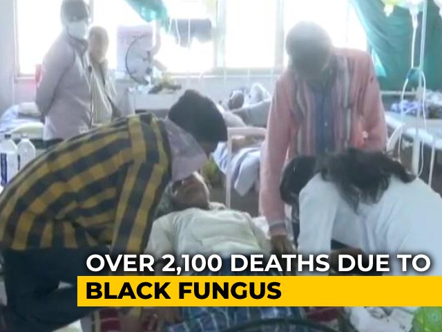 Mucormycosis Cases Grow 166% In 16 Days